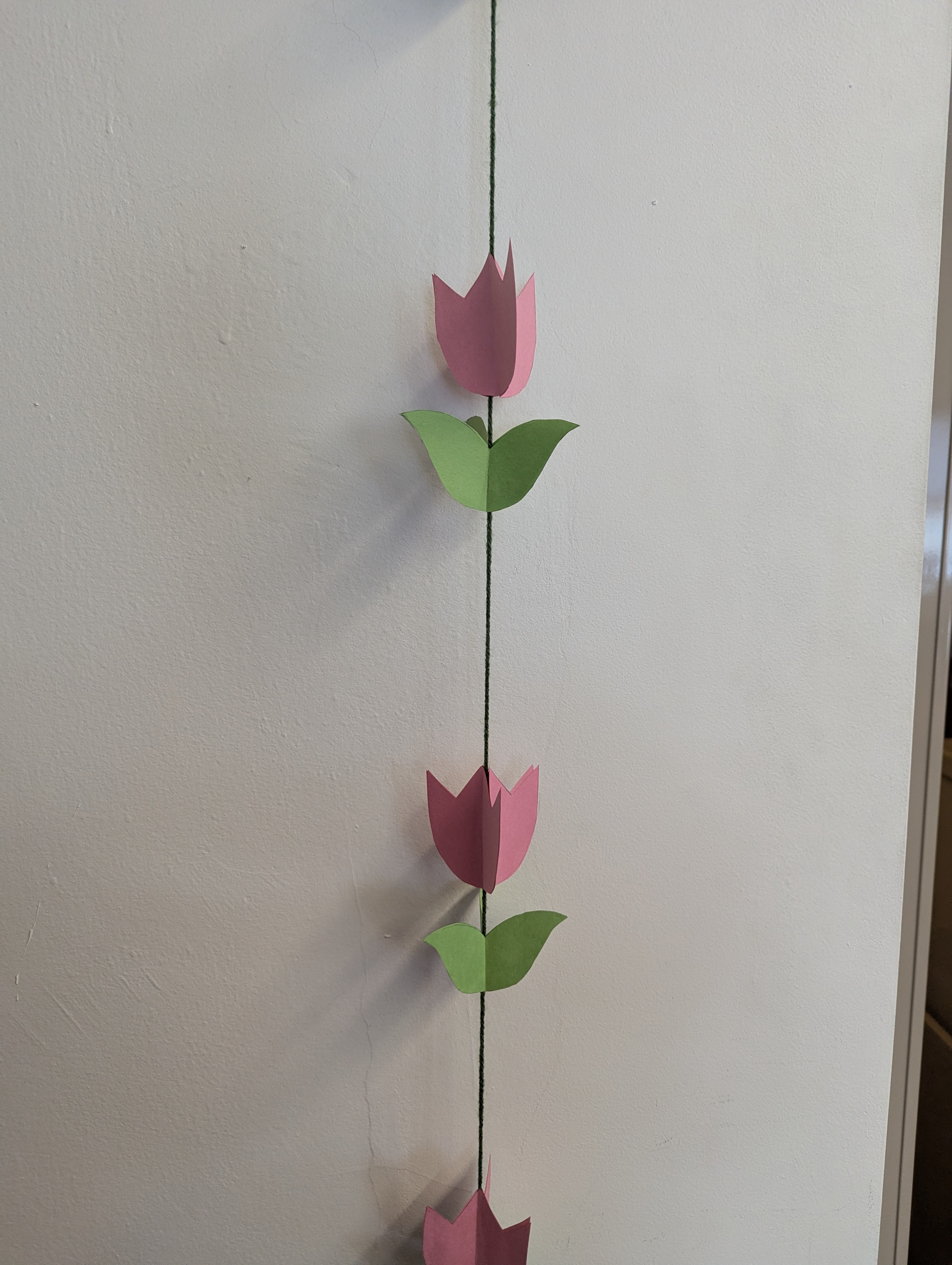 PXL 20260224 191742631