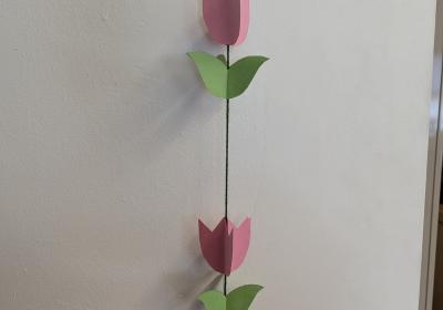 PXL 20260224 191742631