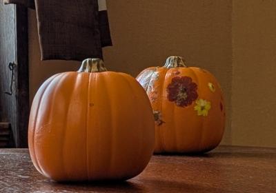Pumpkin