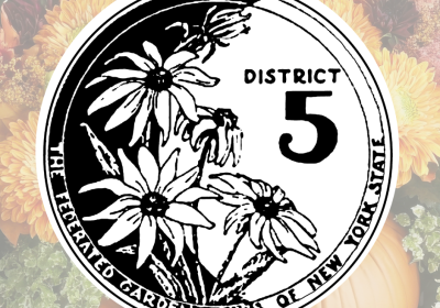 district v garden logo