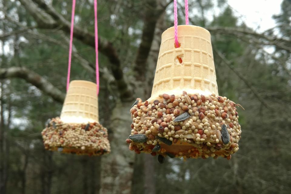 bird feeder2