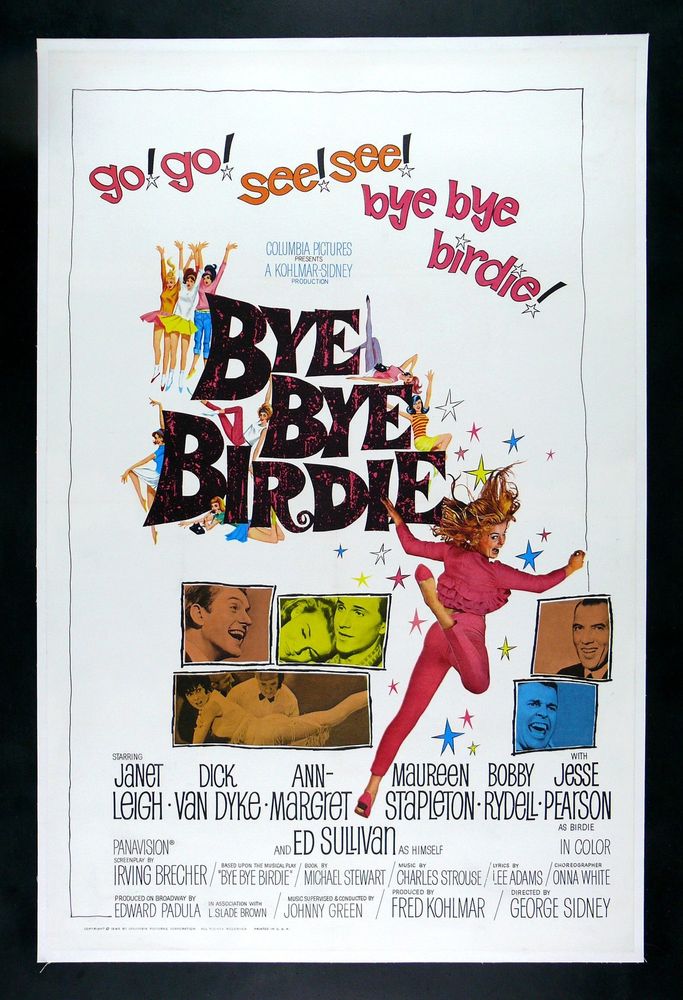 bye bye birdie image