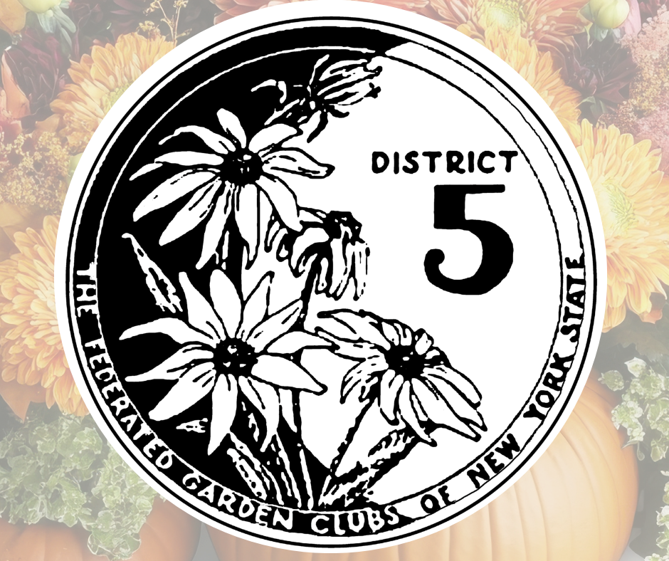 district v garden logo