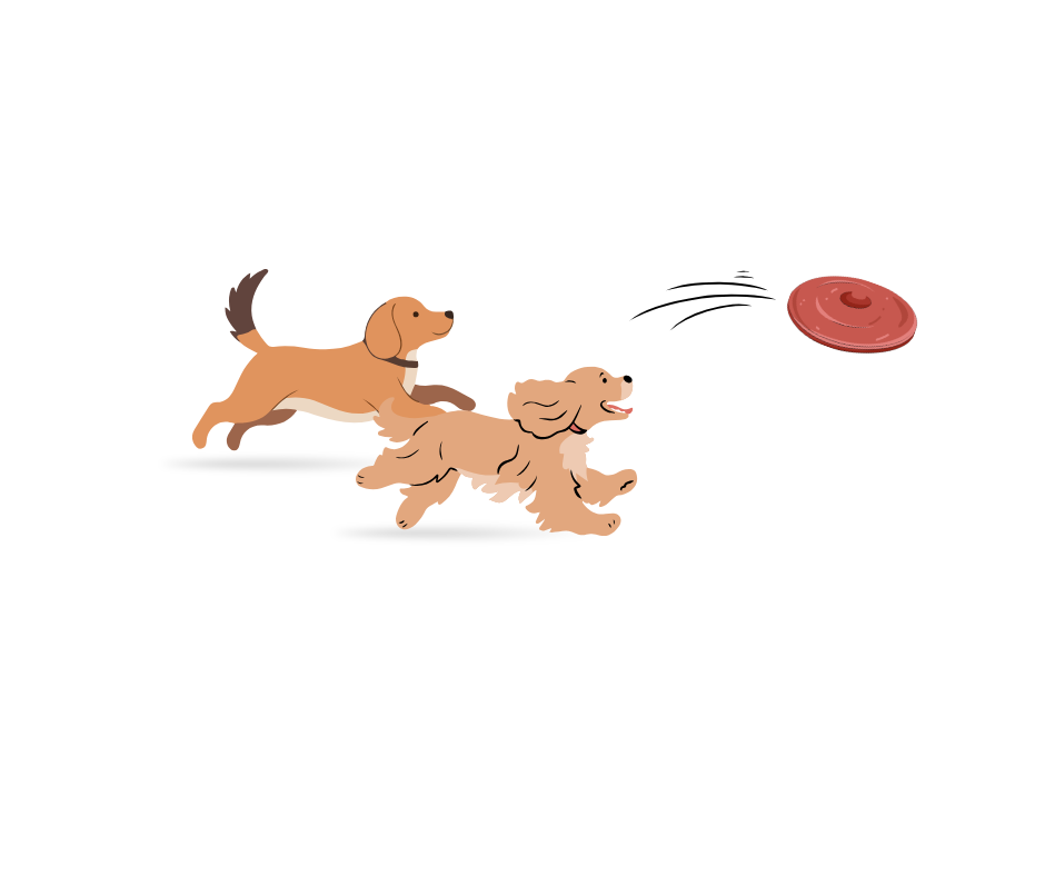 dog days