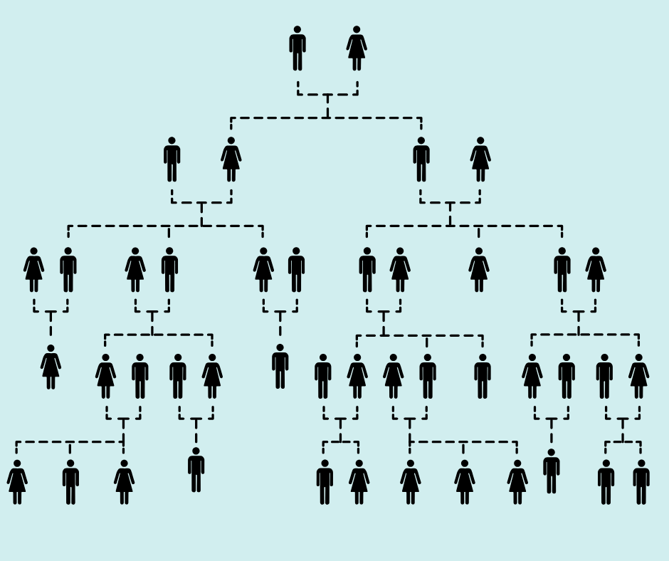 genealogy post 3
