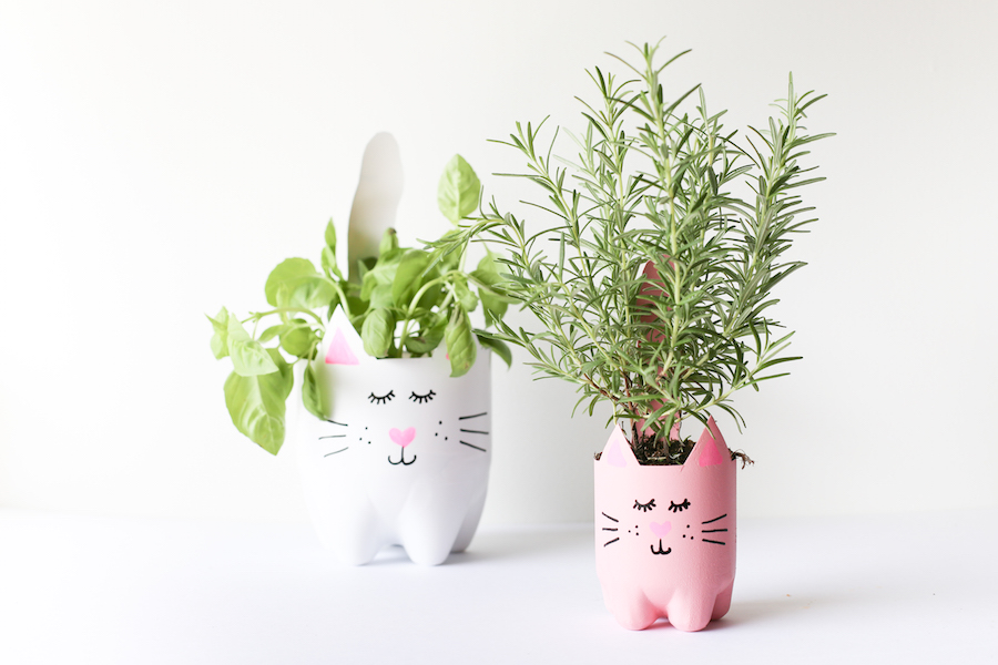 kitty planters
