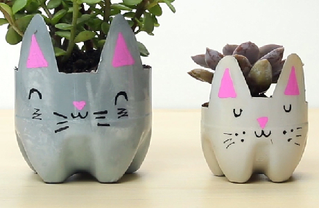 kitty planters
