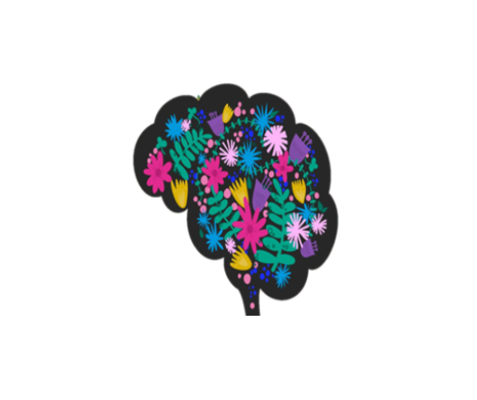 website 38
