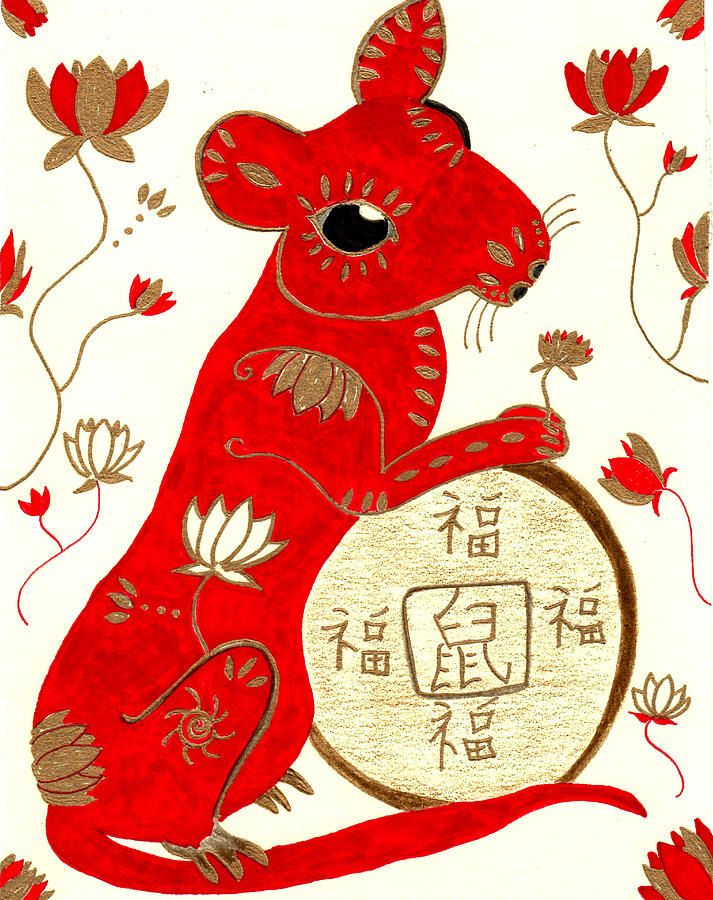 year of the rat