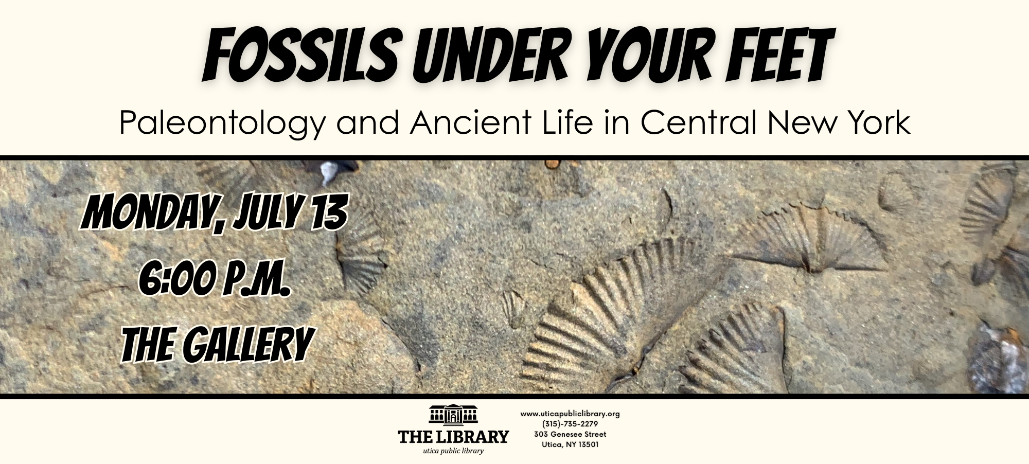 Fossils Under Your Feet 10.2 x 4.6 in