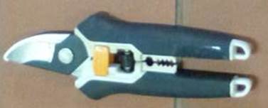 rotated small shears